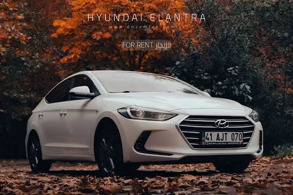 DENİZ EMLAK RENT A CAR - Resim 8