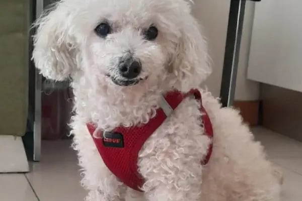Özel Doğuş Vet Veteriner Kliniği - Resim 5
