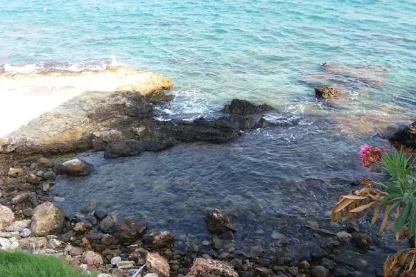 Arsinoe Restoran - Resim 15