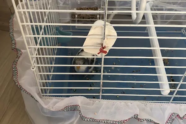 Afacan oyuncak ve petshop - Resim 4