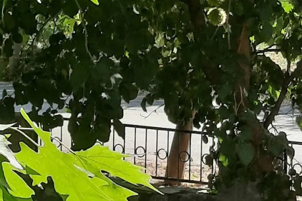 Buca Belediyesi İzcilik ve Doğa Sporları Merkezi - Resim 15