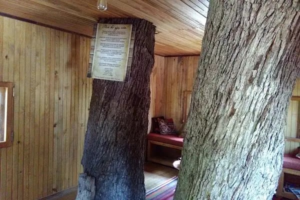 Buca Belediyesi İzcilik ve Doğa Sporları Merkezi - Resim 5