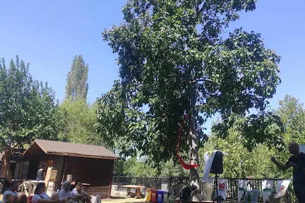 Buca Belediyesi İzcilik ve Doğa Sporları Merkezi - Resim 7