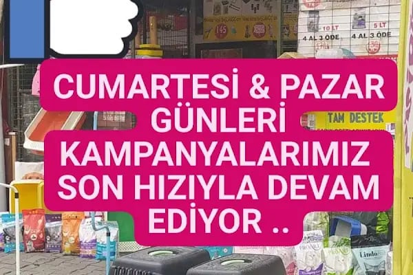 ÇANTAY AKVARYUM PETCİTY - Resim 1