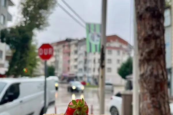 Harman Unlu Mamulleri - Resim 11