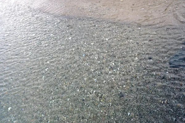ENDEMİK KAMPİNG BEACH - Resim 4