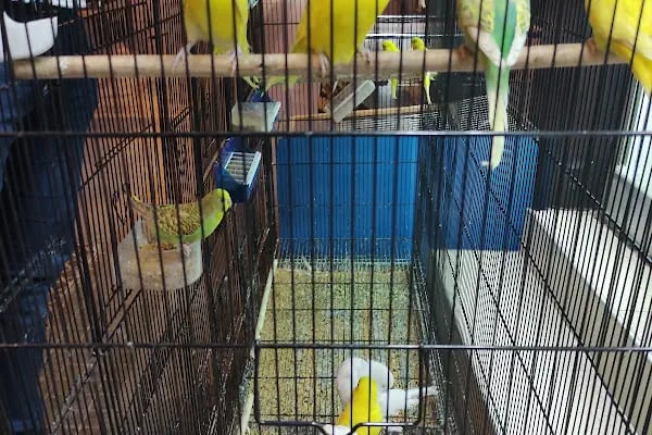 Trend Pet Market Petshop - Resim 11