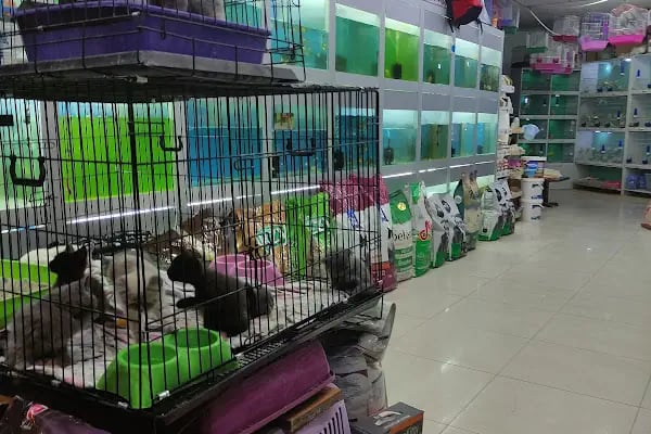 Trend Pet Market Petshop - Resim 5
