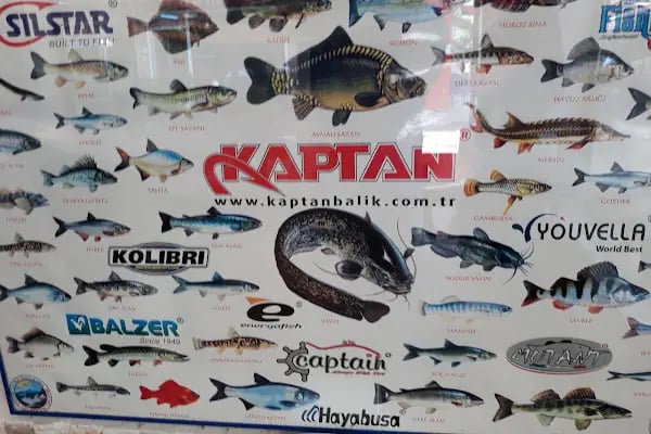 Yakamoz Balık Lokantası - Resim 4