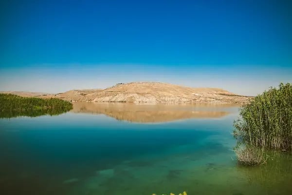 Zeugma Saklı Bahçe kirlokantasi piknik alani - Resim 5