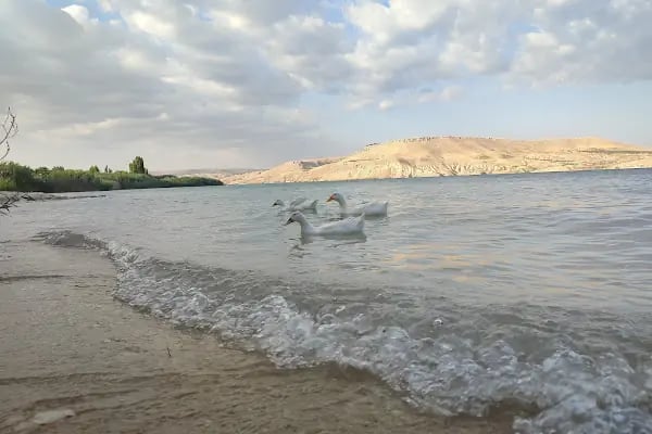 Zeugma Saklı Bahçe kirlokantasi piknik alani - Resim 9