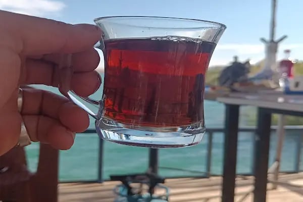 Zeugma Saklı Bahçe kirlokantasi piknik alani - Resim 8