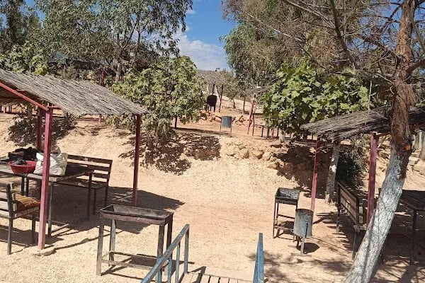 Zeugma Saklı Bahçe kirlokantasi piknik alani - Resim 2