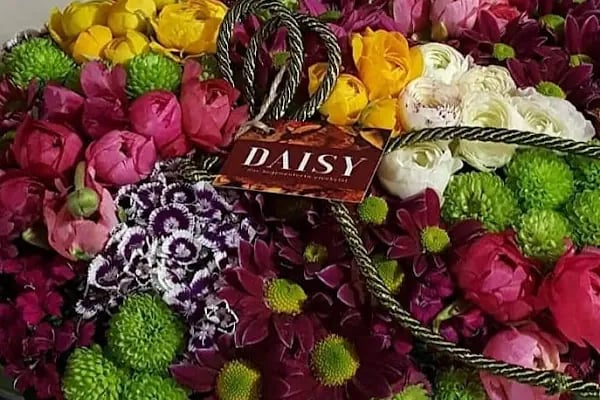 Ataşehir Daisy çiçek - Resim 12