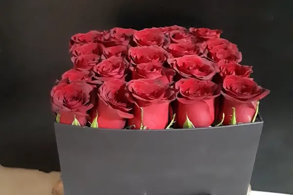Ataşehir Daisy çiçek - Resim 8