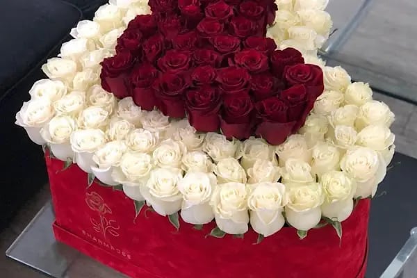 Ataşehir Daisy çiçek - Resim 14