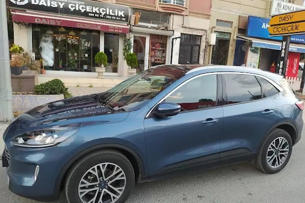 Ataşehir Daisy çiçek - Resim 1
