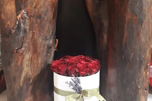 Ataşehir Daisy çiçek - Resim 20