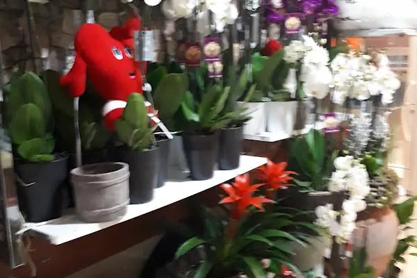 Ataşehir Daisy çiçek - Resim 4