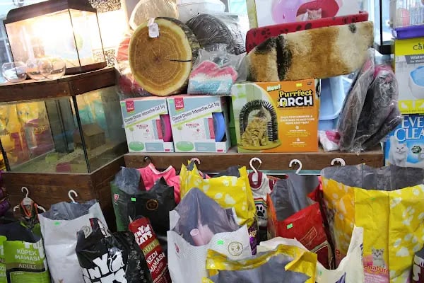 CİCOZ PETSHOP - Resim 13
