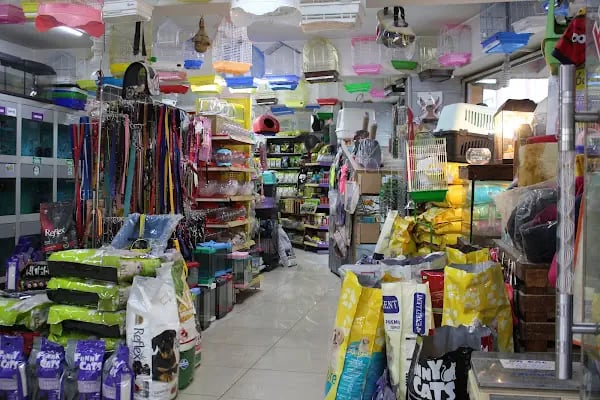 CİCOZ PETSHOP - Resim 5
