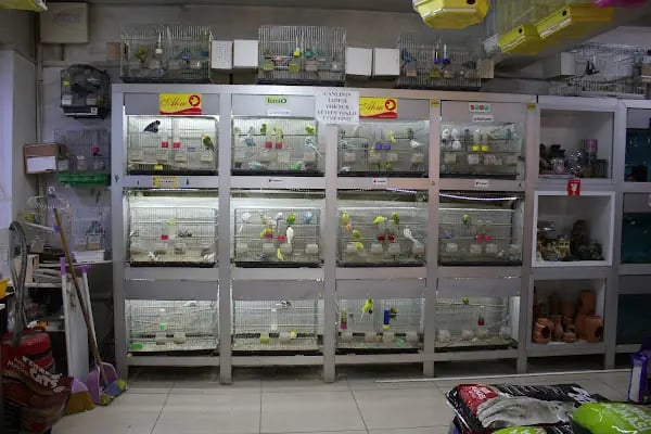 CİCOZ PETSHOP - Resim 15