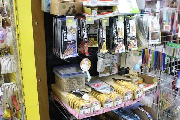 CİCOZ PETSHOP - Resim 12