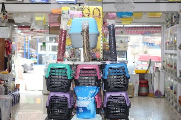 CİCOZ PETSHOP - Resim 18
