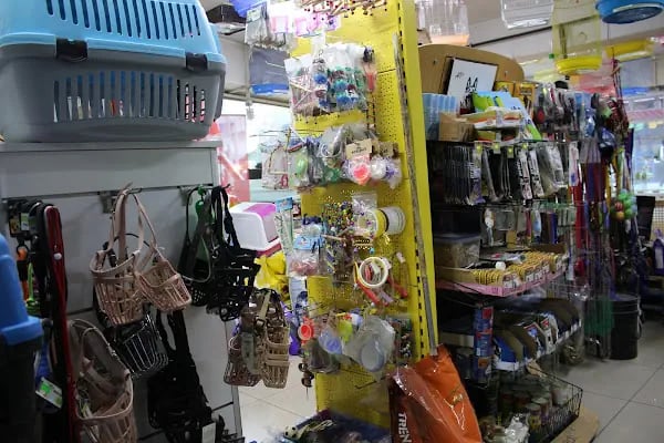 CİCOZ PETSHOP - Resim 19