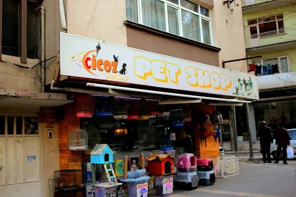 CİCOZ PETSHOP - Resim 7