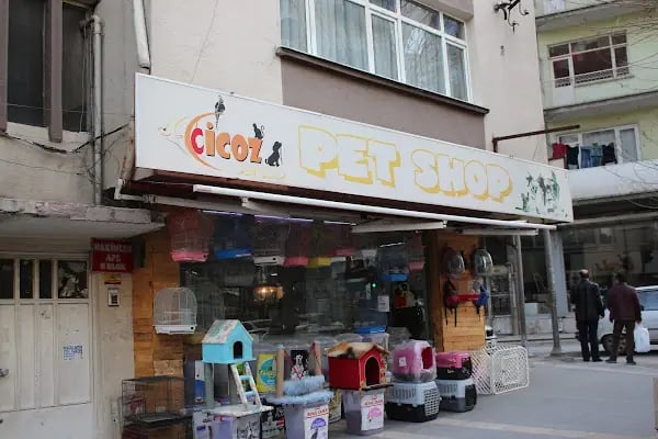 CİCOZ PETSHOP - Resim 20