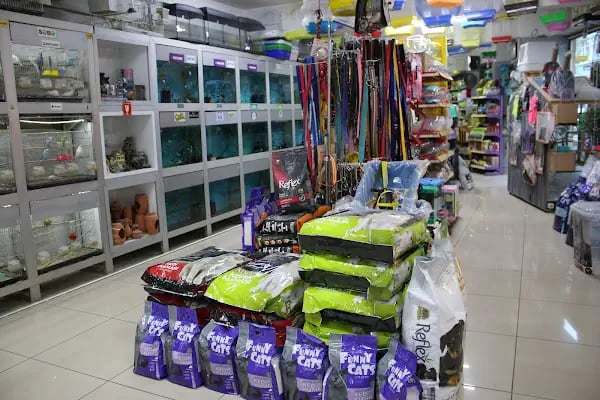 CİCOZ PETSHOP - Resim 11