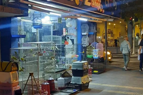 CİCOZ PETSHOP - Resim 4