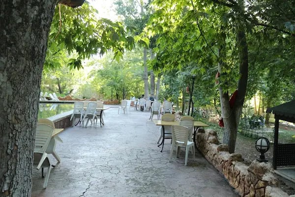 Atapark Mesire Yeri - Resim 18