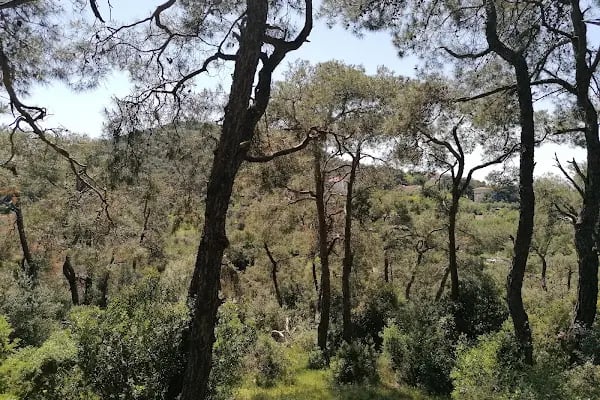 Büyükada İsa Tepesi - Resim 6