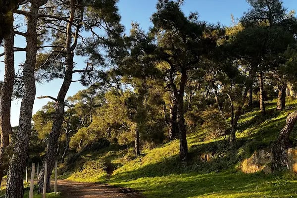 Büyükada İsa Tepesi - Resim 3