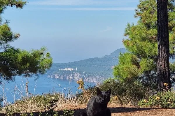Büyükada İsa Tepesi - Resim 5