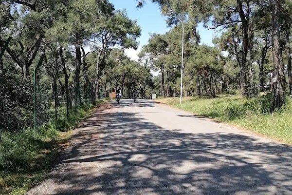 Büyükada İsa Tepesi - Resim 15