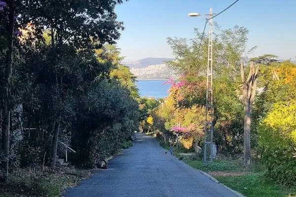 Büyükada İsa Tepesi - Resim 19
