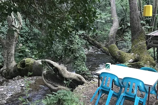 YENİ DEĞİRMEN RESTORAN EROL USTA’NIN YERİ - Resim 7