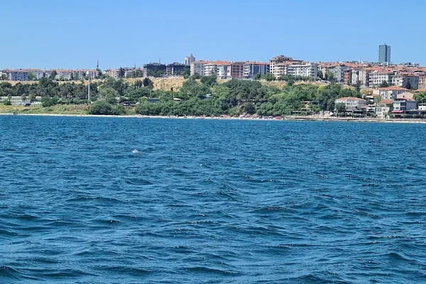 Mavi Deniz Tekne Kiralama ve Balıkçı malzemeleri - Resim 9