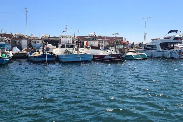 Mavi Deniz Tekne Kiralama ve Balıkçı malzemeleri - Resim 5