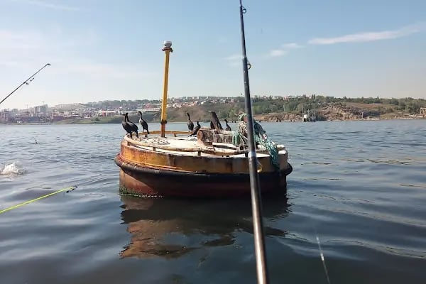 Mavi Deniz Tekne Kiralama ve Balıkçı malzemeleri - Resim 13