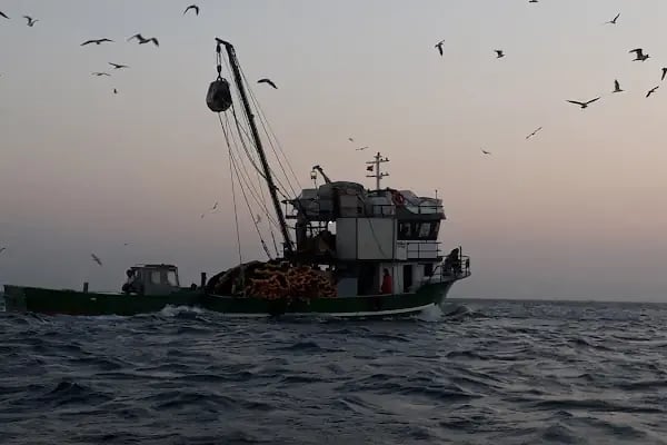Mavi Deniz Tekne Kiralama ve Balıkçı malzemeleri - Resim 20