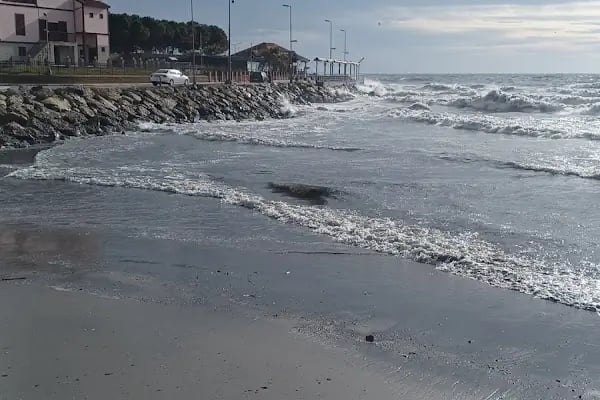 Mavi Deniz Tekne Kiralama ve Balıkçı malzemeleri - Resim 14