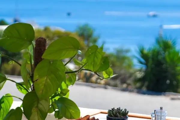 the saf bodrum - Resim 10