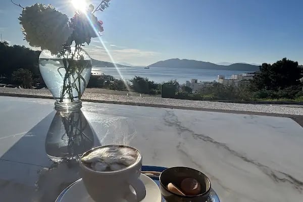 the saf bodrum - Resim 6