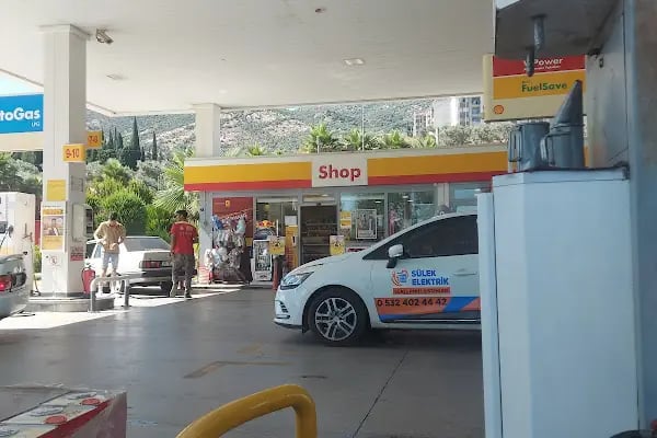ÇAGRI BOTANİK & PEYSAJ Salon Bahçe Dış Mekan Bitkileri.. - Resim 10