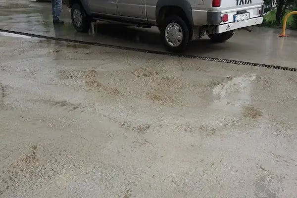 ÇAGRI BOTANİK & PEYSAJ Salon Bahçe Dış Mekan Bitkileri.. - Resim 9