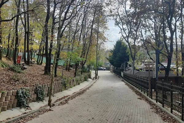 Göktürk Göleti Tabiat Parkı - Resim 12